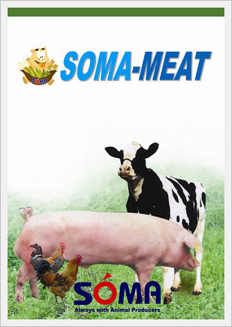 SOMA-MEAT (Meat Quality Improvement Agent)  Made in Korea